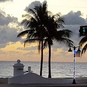 Meet your Posher, Leona